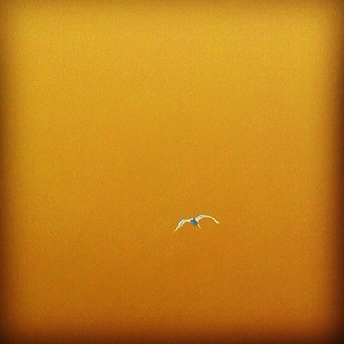 new song ... catchingUP™ ©Cali Lili™2013