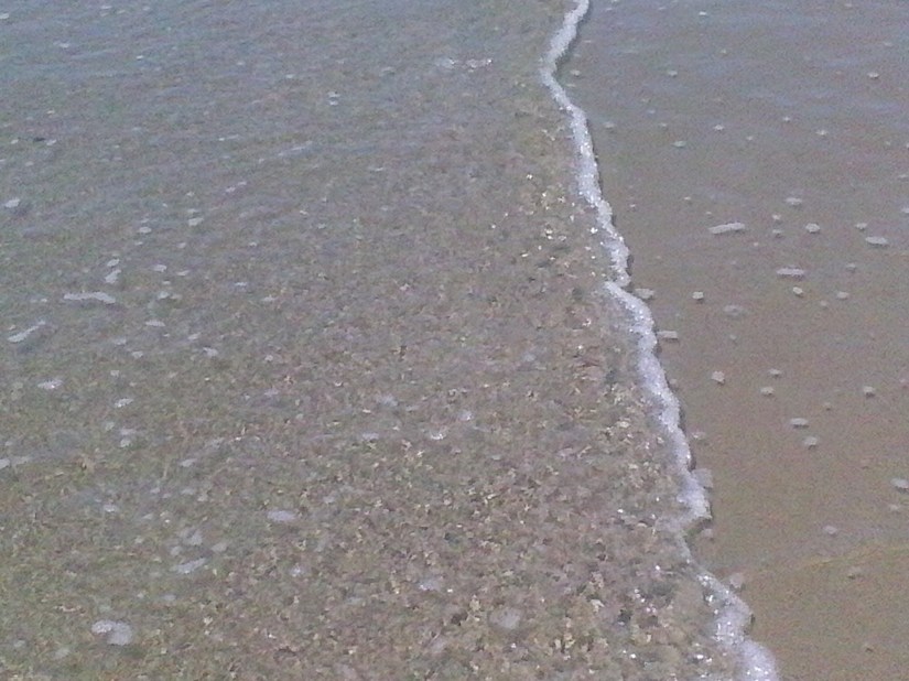 Clarity  ©Cali Lili™2013